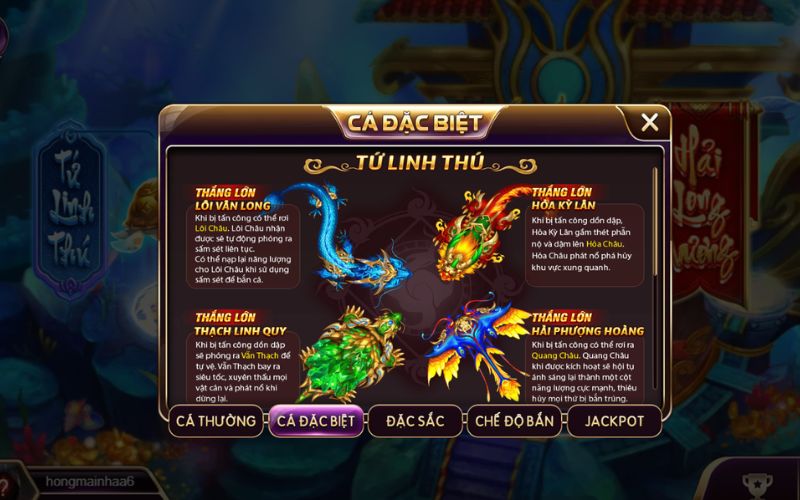 Săn kho báu trong Long Cung với hiệu ứng chân thực